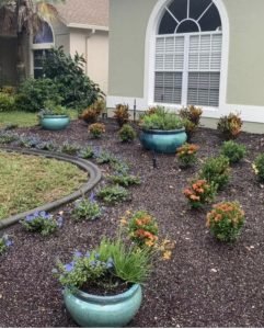 perenial plants